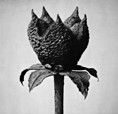 Album & Single von Masayoshi Fujita