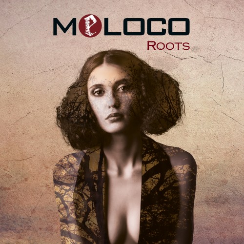 Alternative Metal von Meloco - Eine Reise durch die Musikwelt Alternative Metal von Meloco -...