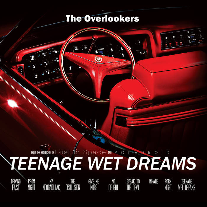 The Overlookers - teenage wet...