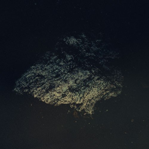 "Lost World" das neue Album von Multicast Dynamics