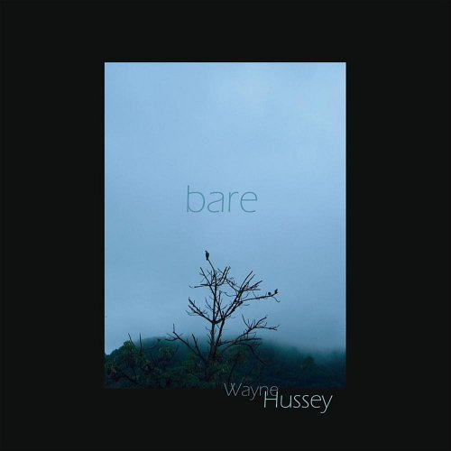 Wayne Hussey - Bare