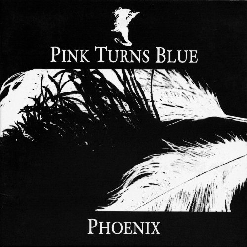 Pink Turns Blue - Phoenix