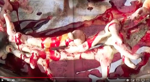 Agonoize: Video zu "Blutgruppe Jesus"