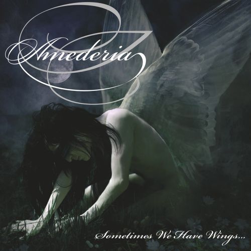 Amederia – Sometimes We Have Wings