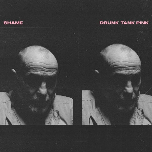 Shame kündigen lang erwartetes neues Album "Drunk Tank Pink" an