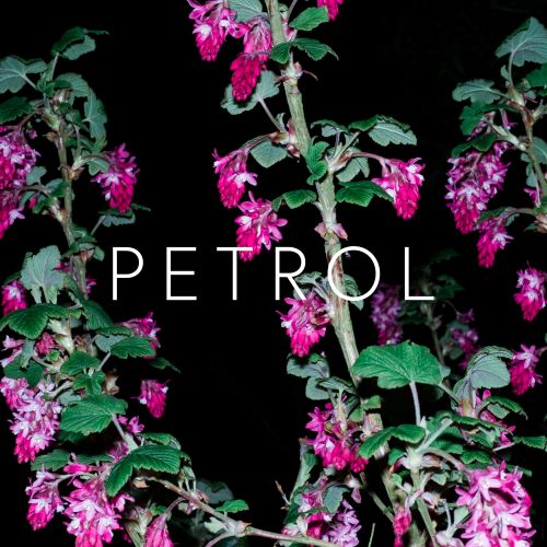 Crystalline Stricture – Petrol