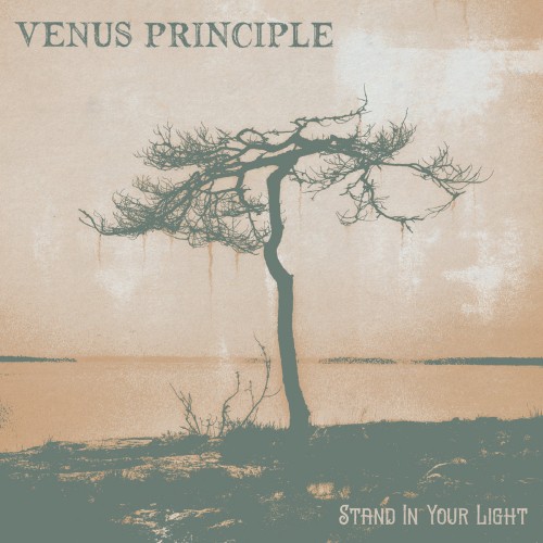 Venus Principle – Stand in your light Venus Principle – Stand in...