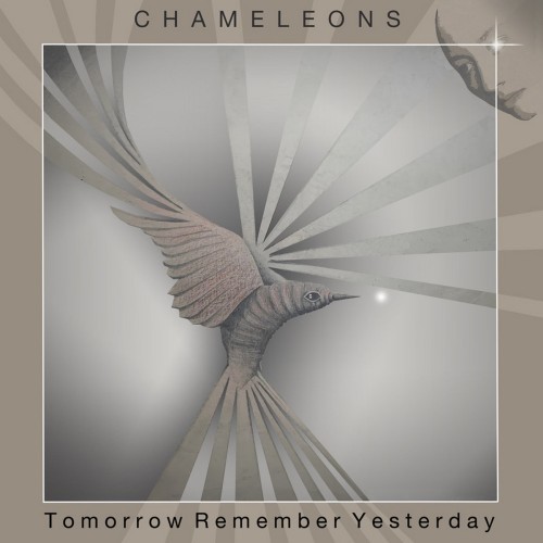 Chameleons: Zeitreise mit Stil – EP "Tomorrow Remember Yesterday" kommt im Oktober