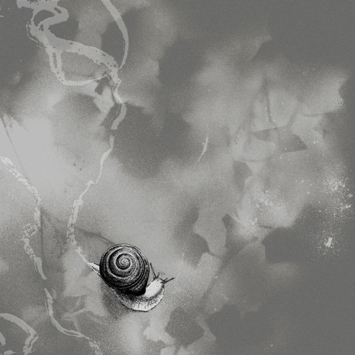 'Rats On Rafts' kündigen neues Album 'Deep Below' an – Dunkler, langsamer, erodierter!