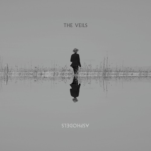 Die Blume der Unterwelt 'Asphodels'...