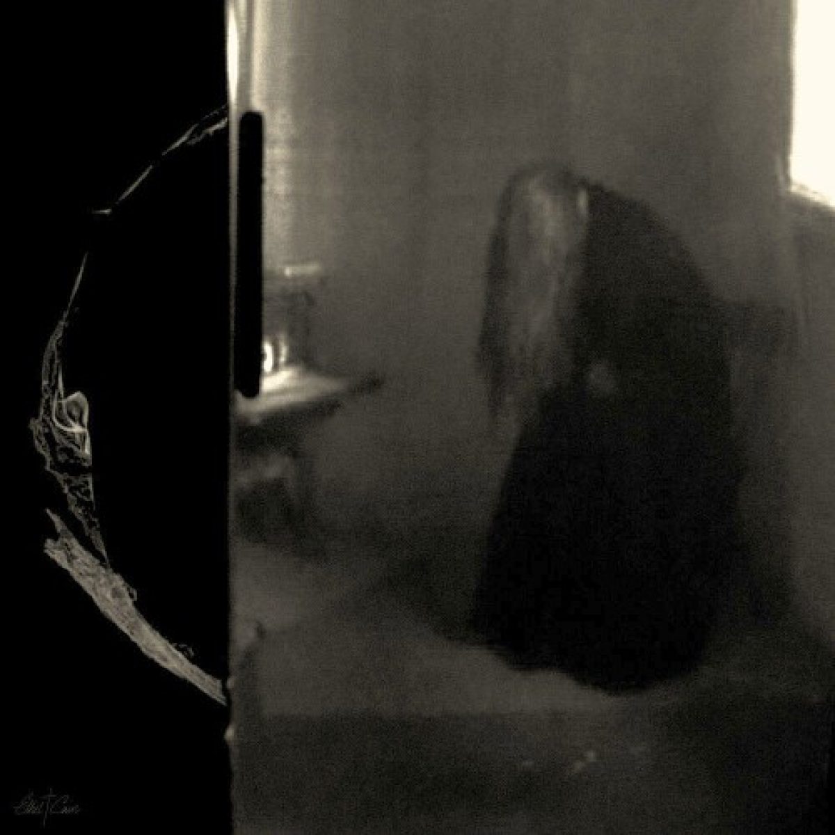 Ethel Cain - Perverts