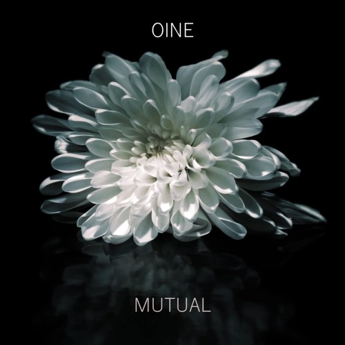 Oine und 'Mutual': Die Kunst, ohne Drums dein Herz zu erobern