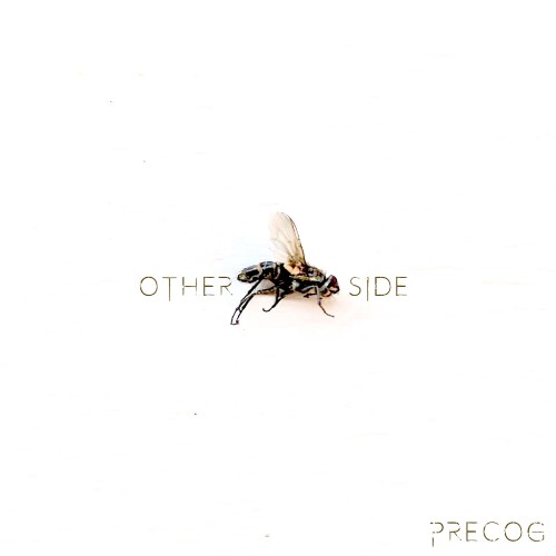 Synthpop trifft Seelenspiegel 'Other Side' von PreCog erscheint im April Synthpop trifft Seelenspiegel 'Other Side'...