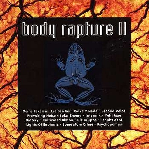 Various Artists - Body Rapture II