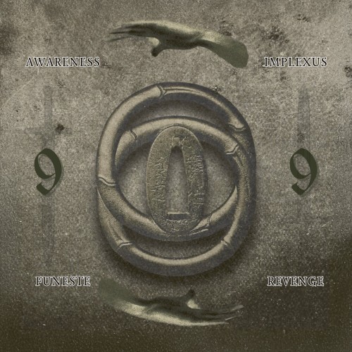 Vinyl-Beben aus dem Maschinenraum: NƵM 99 – Implexus