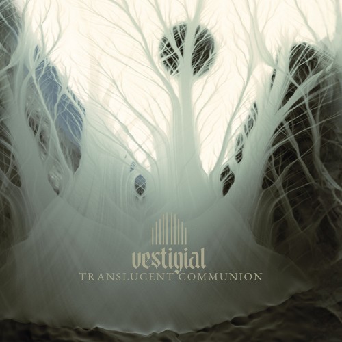 Vestigial Dark Ambient-Kultalbum neu aufgelegt Vestigial Dark Ambient-Kultalbum neu aufgelegt