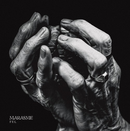 Marasme - Fel