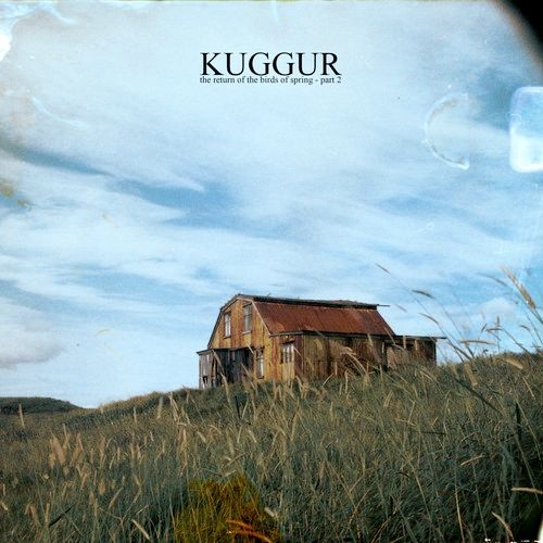 The Return Of The Birds... – Kuggur fliegt wieder The Return Of The Birds......