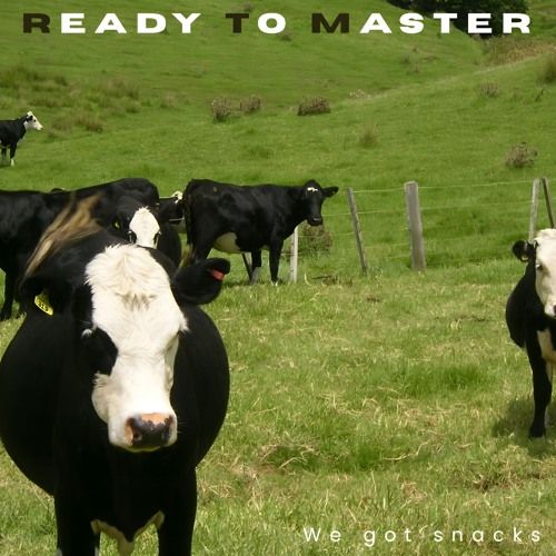 Ready To Master - We...
