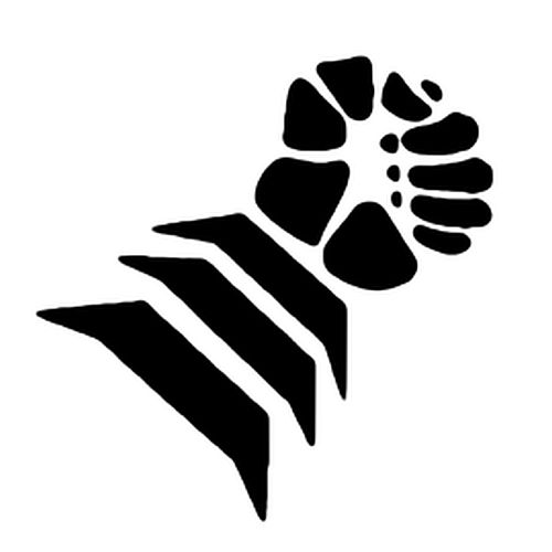 Raus aus dem Algorithmus, rein...