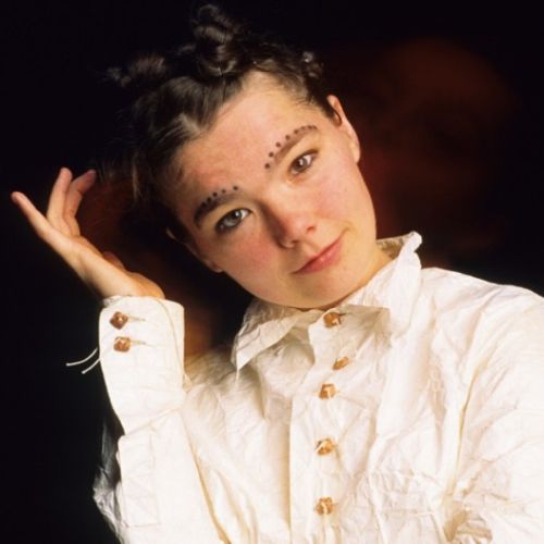 Geschichte unter Null: Björks politische Kältefront aus dem Norden