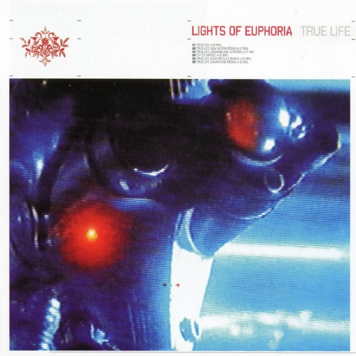 Lights Of Euphoria - True Life