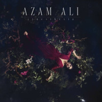 Azam Ali - Synesthesia Teaser Image