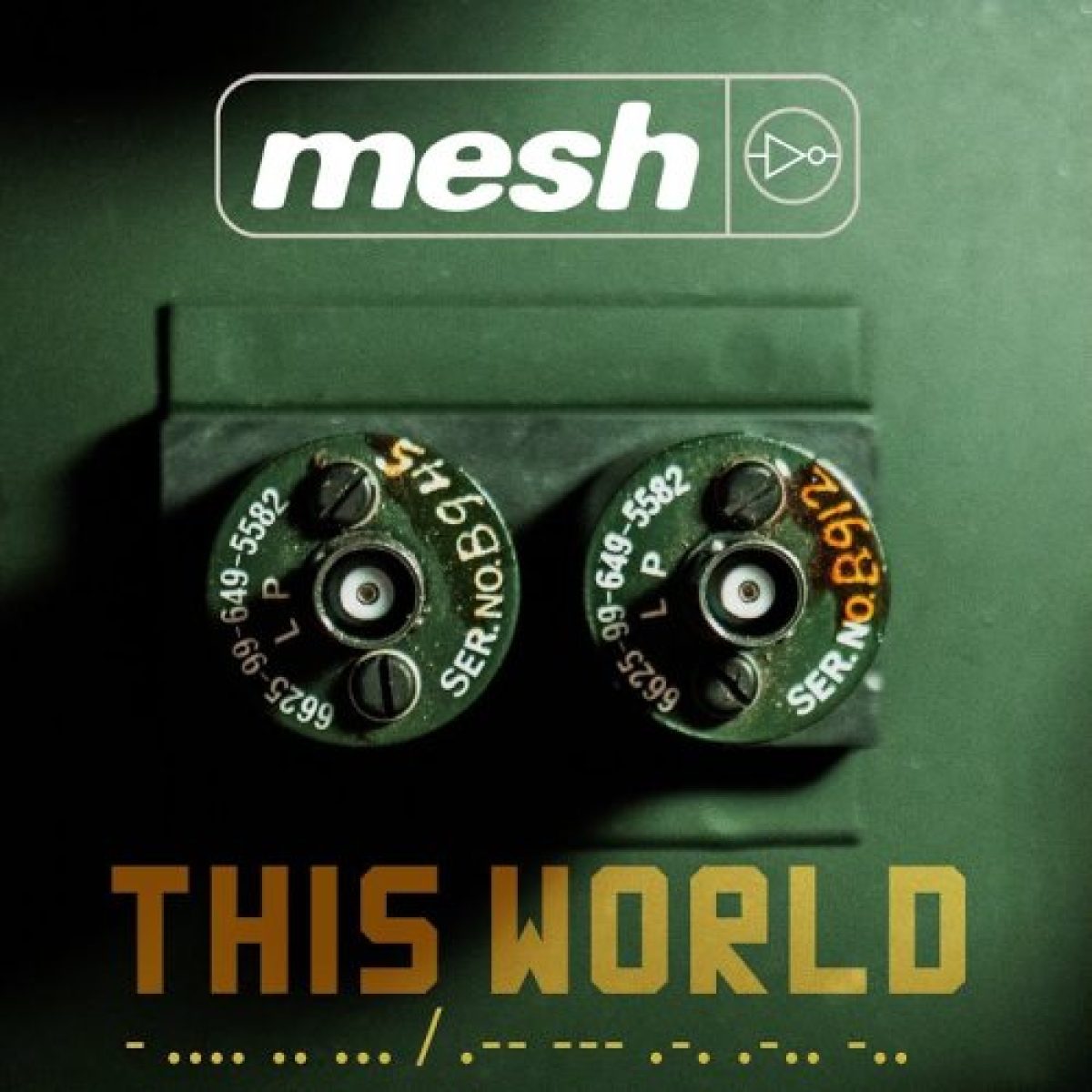 Mesh - This World