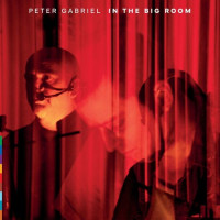 Peter Gabriel - In The Big Room Teaser Image
