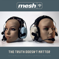 Mesh - The Truth Doesn't Matter Teaser Image