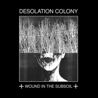 Desolation Colony - Wound In The Subsoil Teaser Image