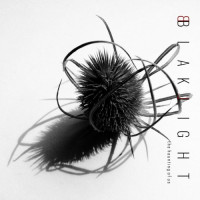 BlakLight - The Haunting of Us