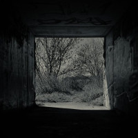 Grim Tonic - Blütenstaub