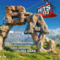 Various Hits - Bravo Hits Vol. 133