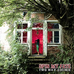 Spin My Fate - Two Way Choice