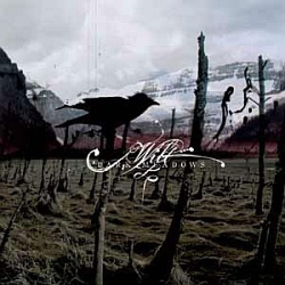 Wilt - Dark Meadows