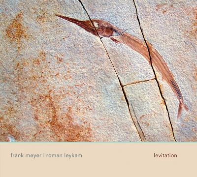 Frank Meyer & Roman Leykam - Levitation
