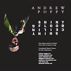 Andrew Poppy - Shiny Floor Shiny Ceiling