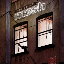 Mesh - How Long?
