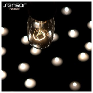 Sensor - Naked