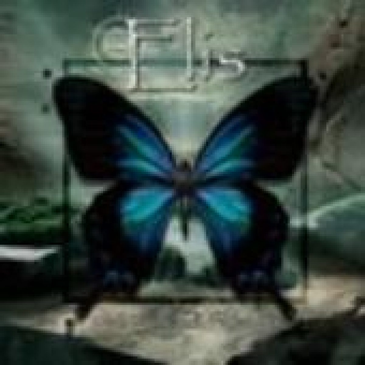 Elis - Dark Clouds In...