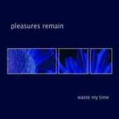 Pleasures Remain - Waste My Time
