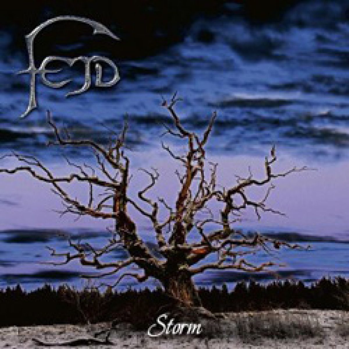 Fejd - Storm