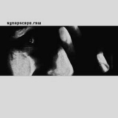 Synapscape - Raw