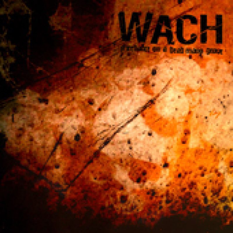 Wach - Firedance On A...