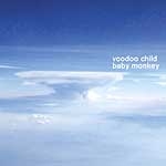 Moby veröffentlicht neues Voodoo-Child-Album
