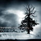 Neuzugang bei Infacted Recordings - The Echoing Green
