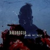 Amduscia geht wieder in die Vollen