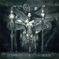 "Sampler of the year" ? Interbreeding VII in den Startlöchern...
