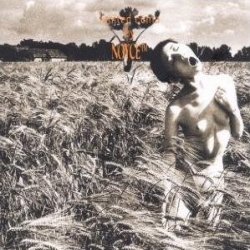 NoyceTM: Verlosung Zum Neuen Album